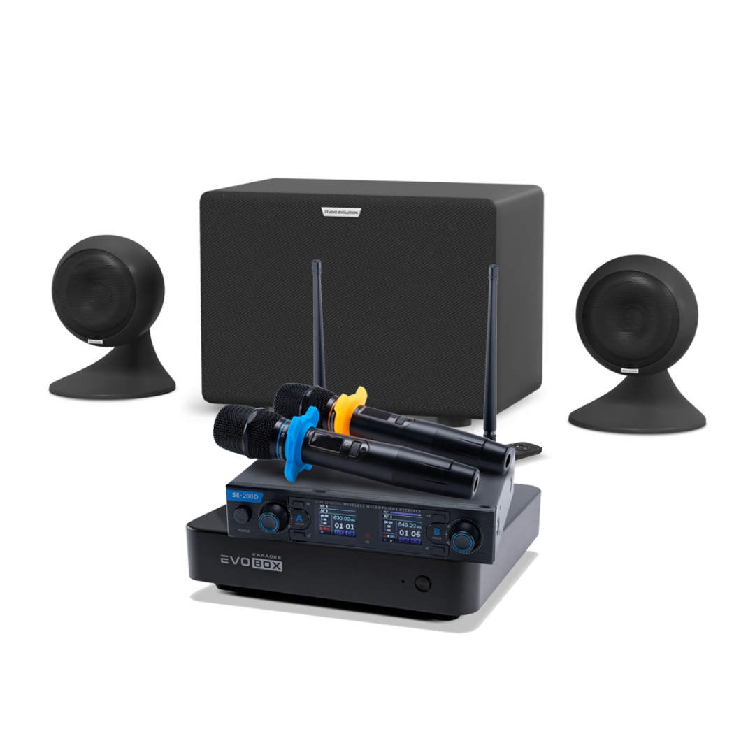 караоке-комплект EVOBOX + EvoSound Sphere 2.1 в Корсакове