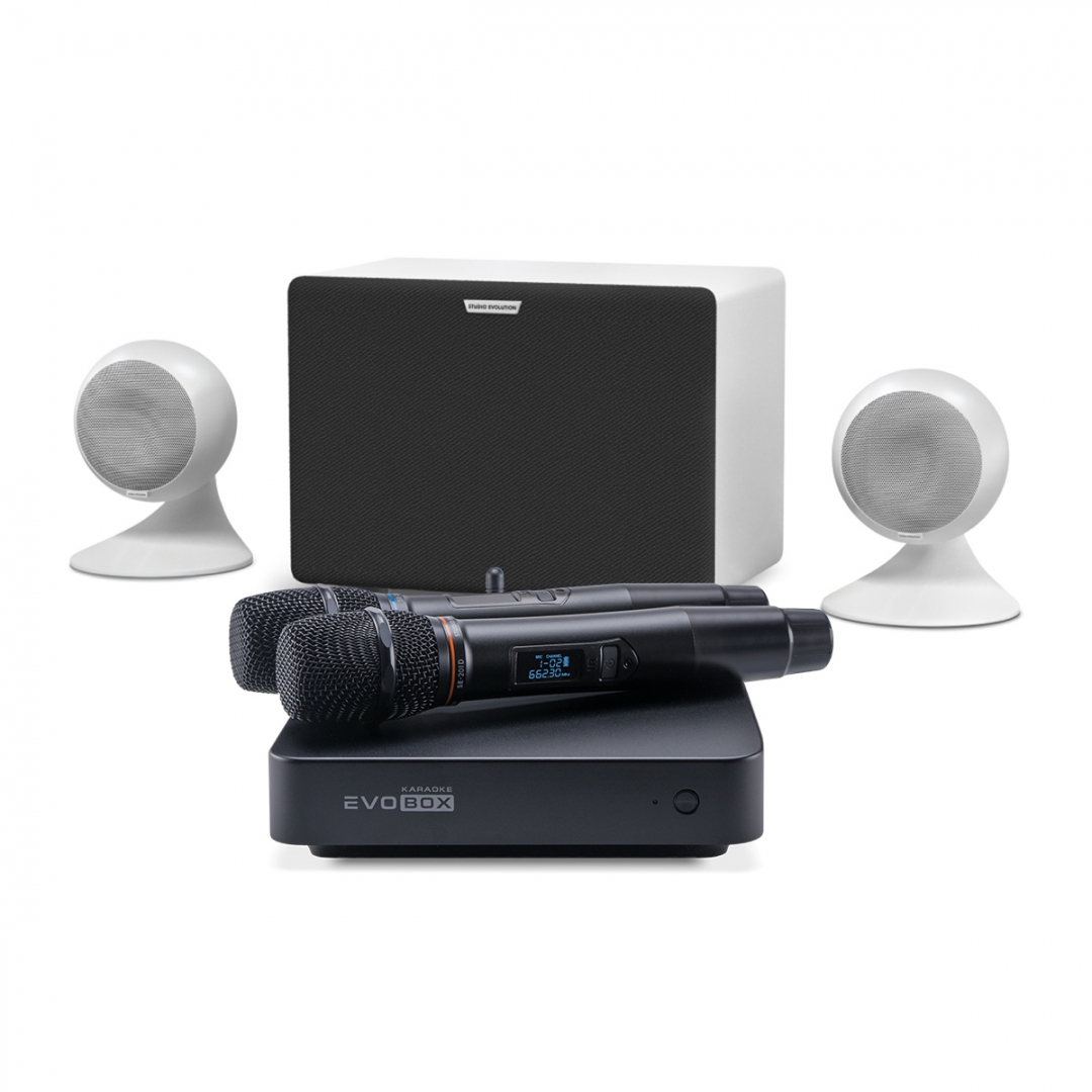 караоке-комплект EVOBOX Classic + EvoSound Sphere 2.1 в Корсакове