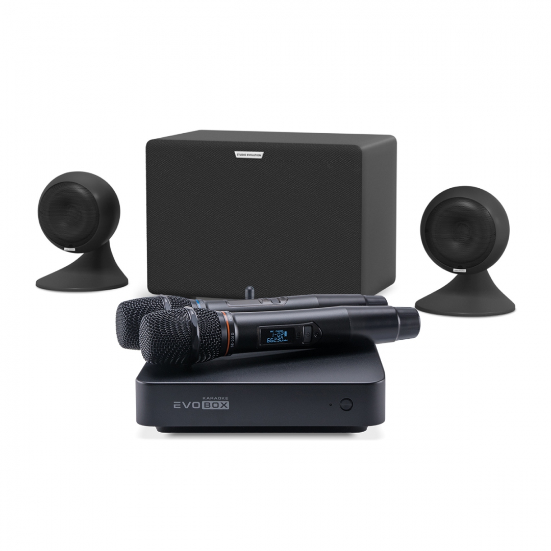 караоке-комплект EVOBOX Plus + EvoSound Sphere 2.1 в Корсакове