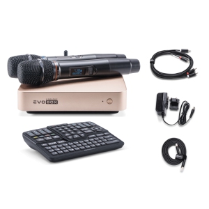 EVOBOX Classic караоке-система для дома в Корсакове