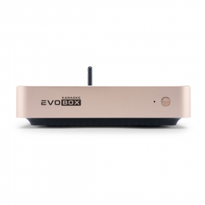 EVOBOX Plus караоке-система для дома в Корсакове