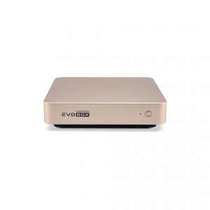 EVOBOX с микрофонами в Корсакове